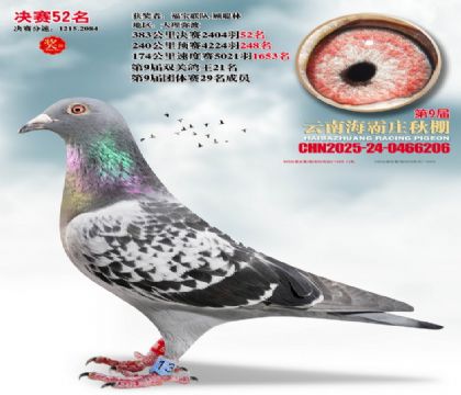 ����ׯ����52��