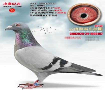 ����ׯ����62��