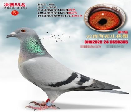 ����ׯ����58��