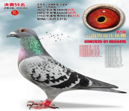 ����ׯ����59��