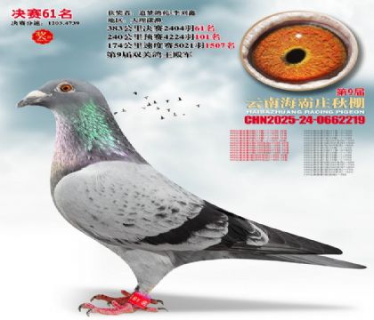 ����ׯ����61��