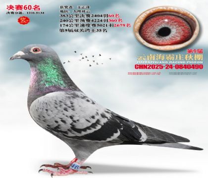 ����ׯ����60��