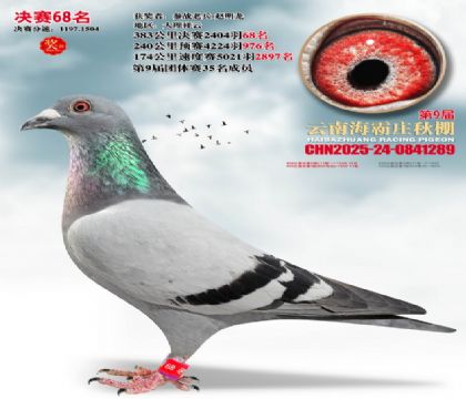 ����ׯ����68��