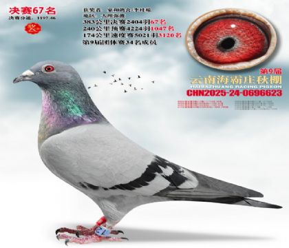 ����ׯ����67��