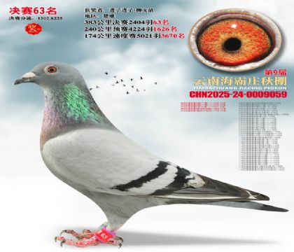 ����ׯ����63��