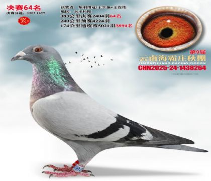 ����ׯ����64��