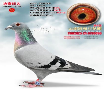 ����ׯ����65��