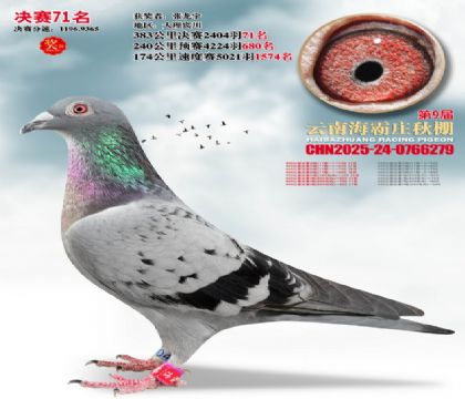 ����ׯ����71��