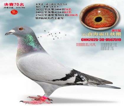 ����ׯ����70��