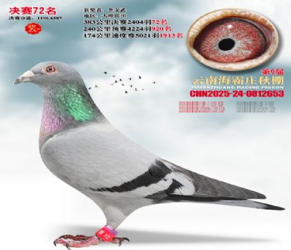 ����ׯ����72��