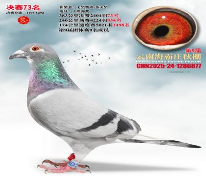 ����ׯ����73��