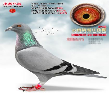 ����ׯ����75��