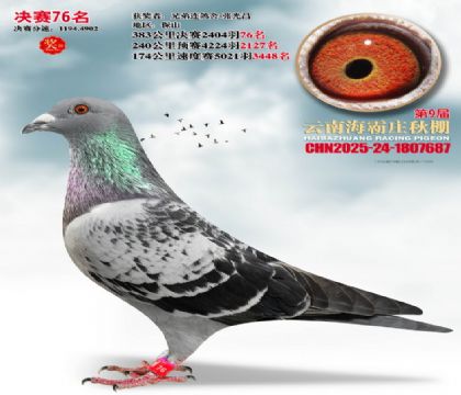 ����ׯ����76��