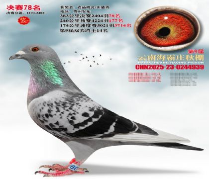 ����ׯ����78��