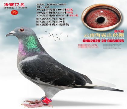 ����ׯ����77��