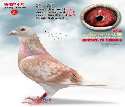 ����ׯ����74��