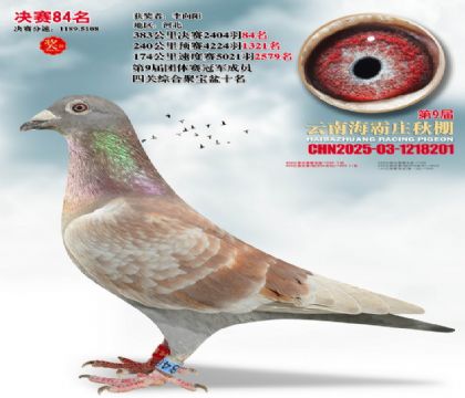 ����ׯ����84��