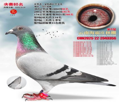 ����ׯ����80��