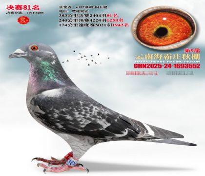 ����ׯ����81��