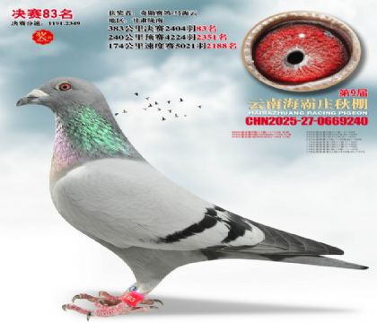 ����ׯ����83��