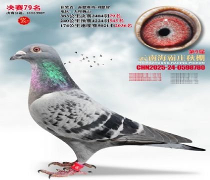 ����ׯ����79��