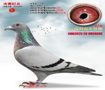 ����ׯ����82��