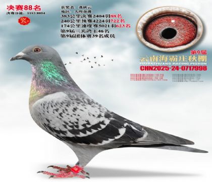 ����ׯ����88��