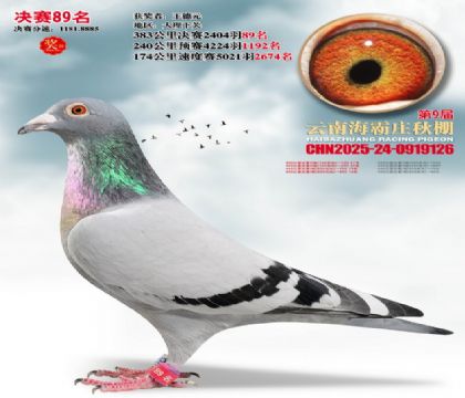 ����ׯ����89��