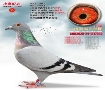 ����ׯ����87��