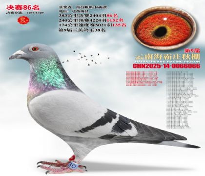 ����ׯ����86��