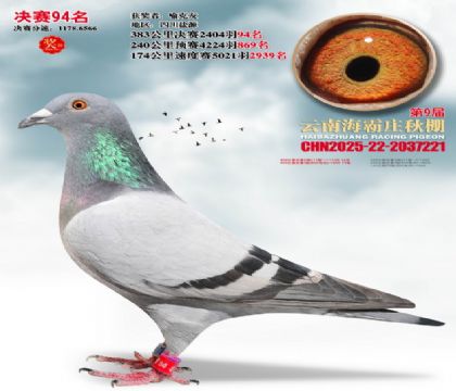 ����ׯ����94��