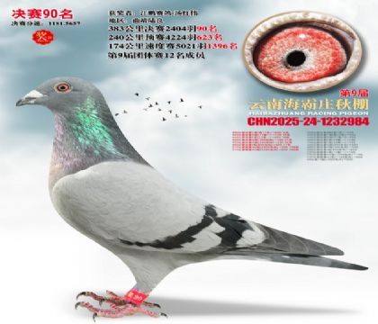 ����ׯ����90��