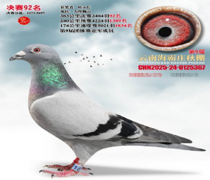 ����ׯ����92��