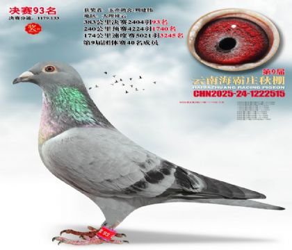 ����ׯ����93��