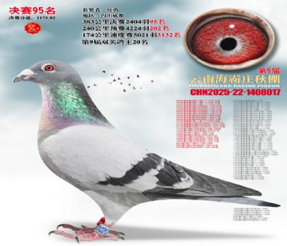 ����ׯ����95��