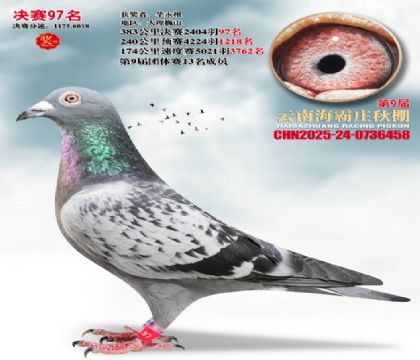 ����ׯ����97��