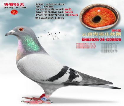 ����ׯ����96��