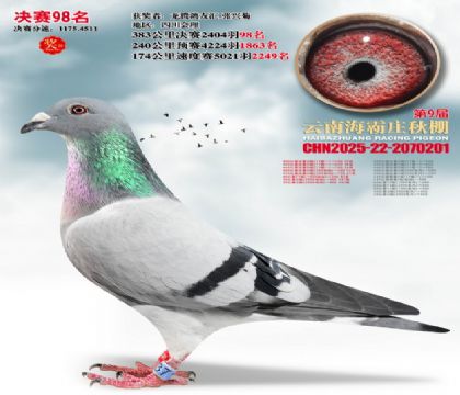 ����ׯ����98��