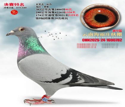 ����ׯ����99��