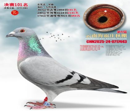 ����ׯ����101��