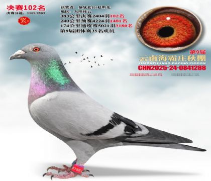 ����ׯ����102��