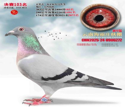 ����ׯ����103��