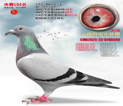 ����ׯ����104��