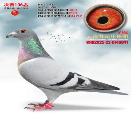 ����ׯ����106��