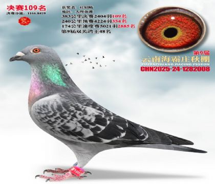 ����ׯ����109��