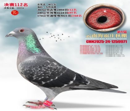 ����ׯ����112��