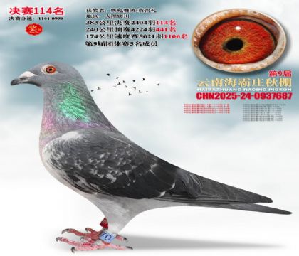 ����ׯ����114��