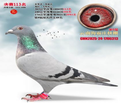 ����ׯ����113��