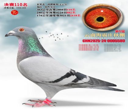 ����ׯ����110��