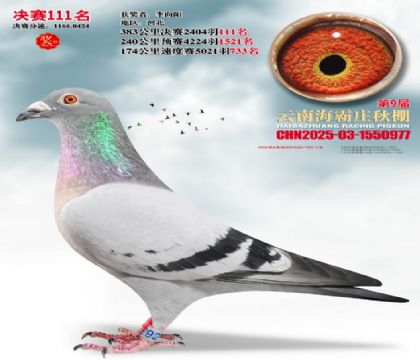 ����ׯ����111��